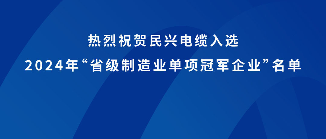 尊龙体育荣获广东省制造业单项冠军！