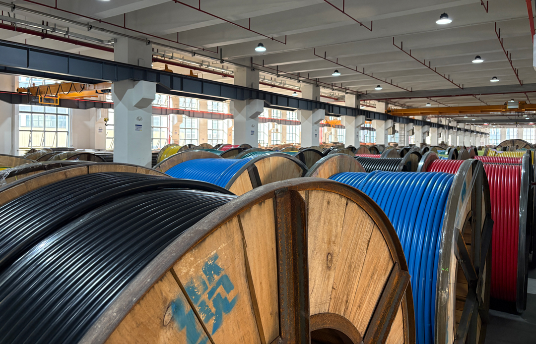 尊龙体育(中国区)官方网站