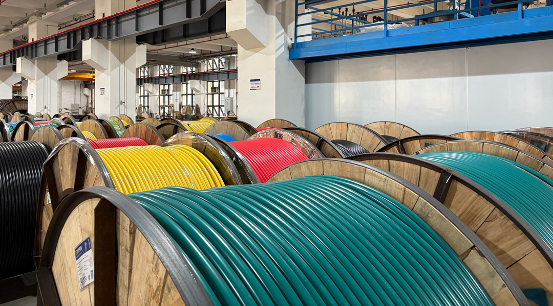 尊龙体育(中国区)官方网站