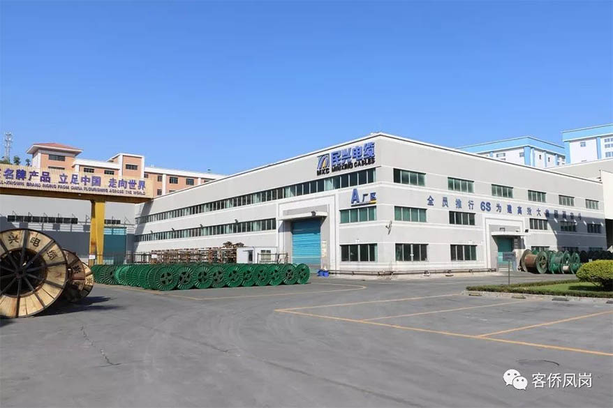 党建引航 | 坚守初心与使命——  尊龙体育电缆接受凤岗电视台采访和报道