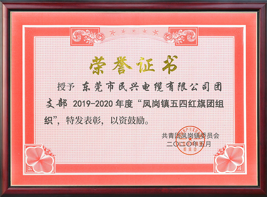  尊龙体育电缆团支部获“凤岗镇五四红旗团组织“称呼