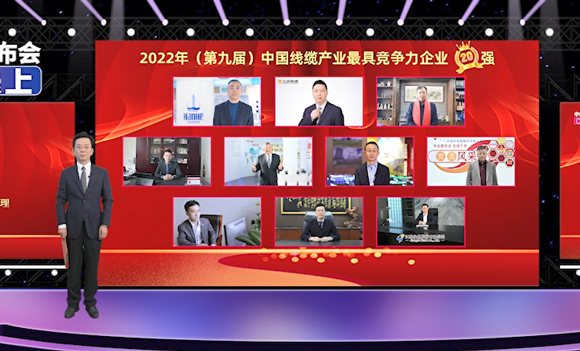 广东前三！莞企尊龙体育电缆荣获行业大奖