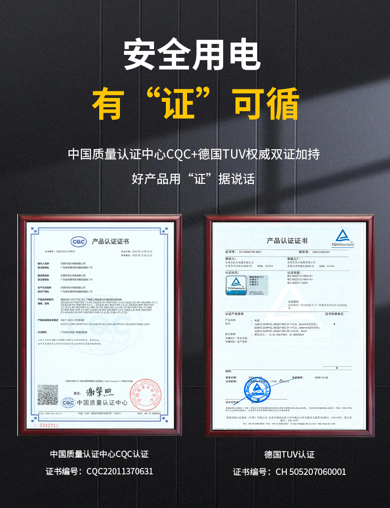 尊龙体育(中国区)官方网站