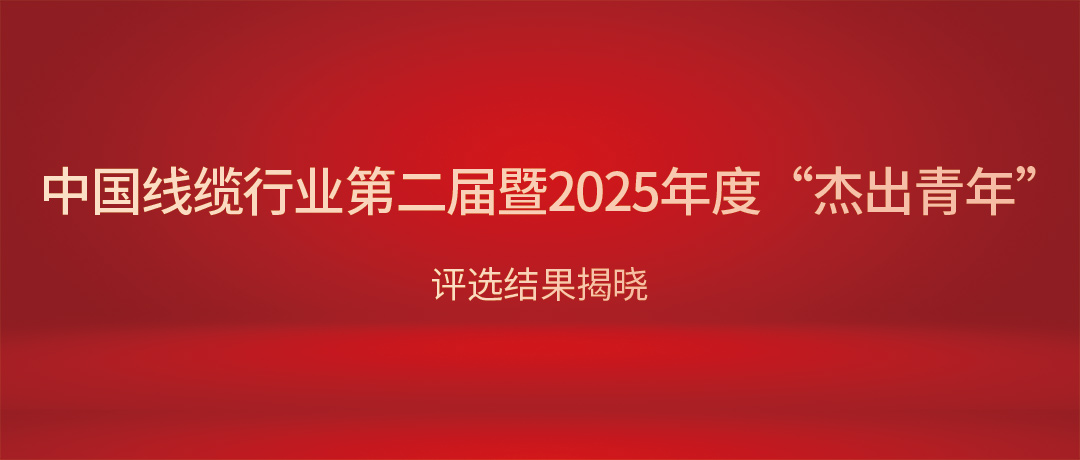 热烈祝贺尊龙体育电缆总司理杨彦荣获中国线缆行业“优异青年”！