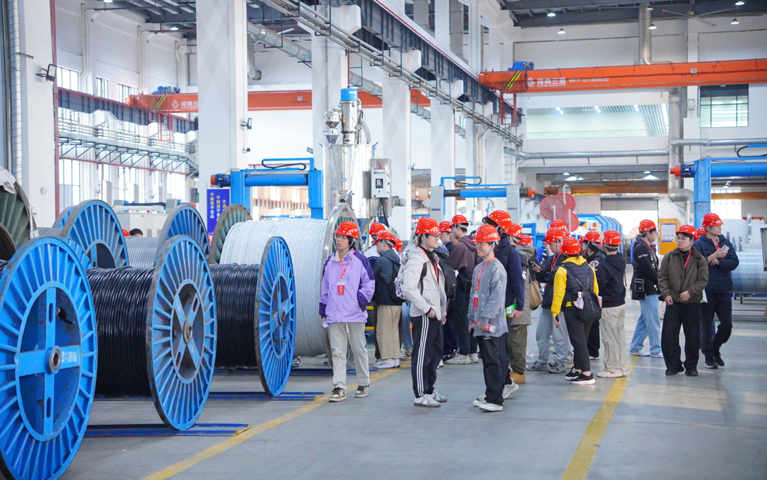 尊龙体育(中国区)官方网站